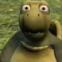 stare