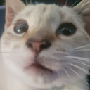 TriciaSus Discord emoji