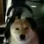 Uhh_Gamer_Doge Discord Emoji