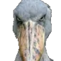 jsjsjsj_XDDD