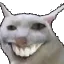 MordaKota
