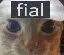 FIalCat FIalCat