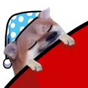 fellasleep