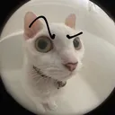 emoji_41 emoji_41