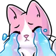 catpinkcry Discord Emoji