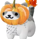 autumn_zyp autumn_zyp