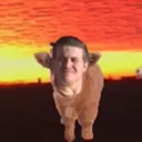 xx_Cowvin