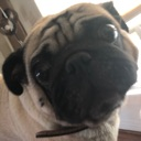 excuseme Discord emoji