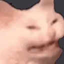 catpewslow