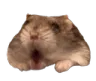 pog