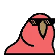 congapartyParrot