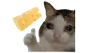 sadcatcheese Discord Emoji