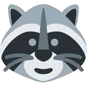 glitchraccoon