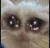Capturadepantalla20220727183635