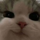 iliketodisagreewithyouropinion iliketodisagreewithyouropinion