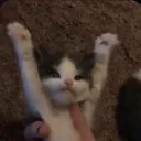 Amhappy Discord Emoji