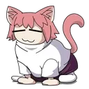 NecoDestinyCat