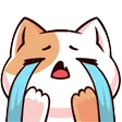 catcry