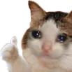 rvg_vakey