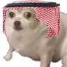habibiConcerned Discord emoji