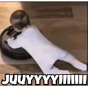 rvg_juyiii