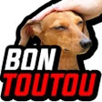 bon_toutou