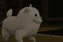 wg_dograve Discord emoji