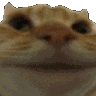 catno