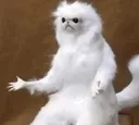 bruhwhy