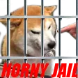 bonk