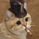 shmoking