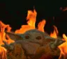 yodaburn