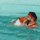 jtefrapperequin