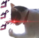 CatJoJo