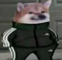 Bruh1
