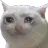 Cat Crying cat_crying Discord Emoji