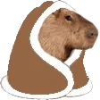 capybara_blanket