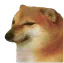 Doge Cry Discord Emoji