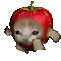 Catapple Discord Emoji