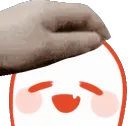 Y_boopat