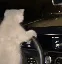 drive