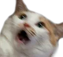 wha