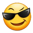sam_sunglasses sam_sunglasses