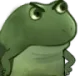 frogeexcuseyou