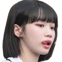 chaetongue