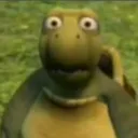 er_stare er_stare