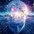 bigbrain