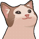 Pop Cat pop_cat Discord Emoji