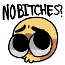 NoBitches