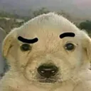 perropensando